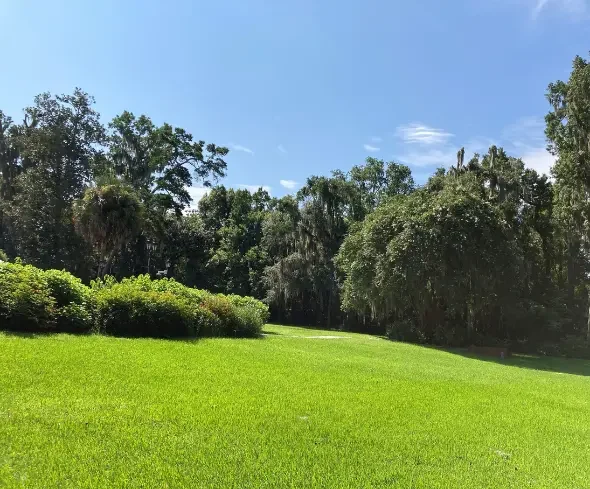 Lawn at university house